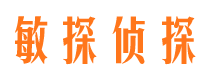 昌江市私家侦探